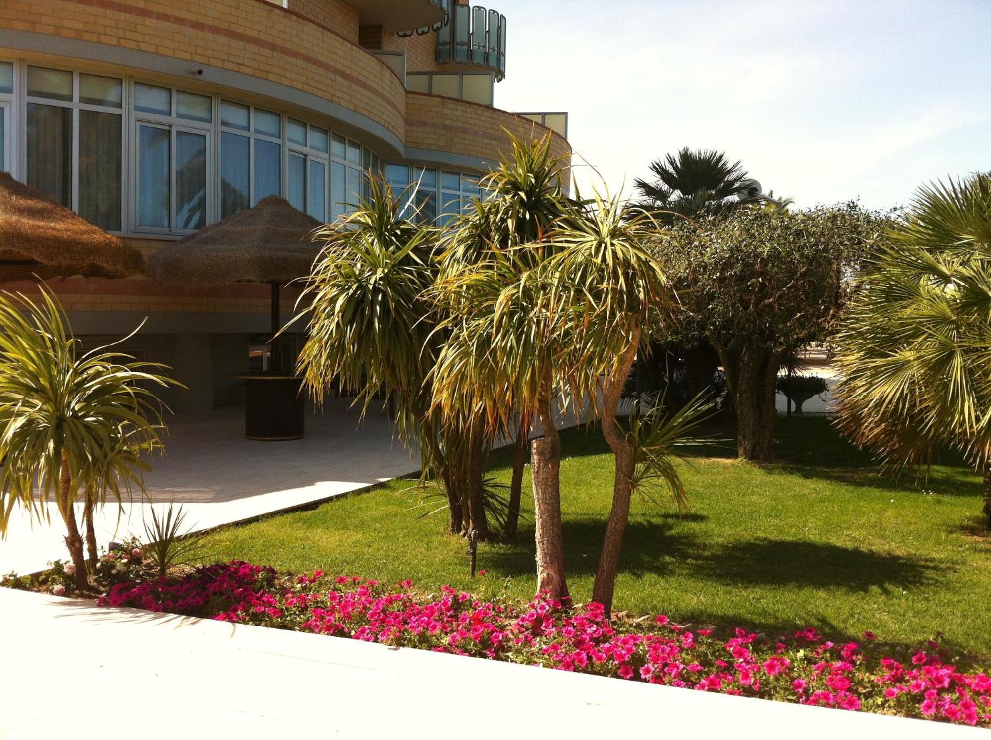 Hotel Maxim'S Martinsicuro Esterno foto